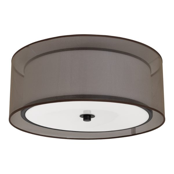 Ceiling Lights